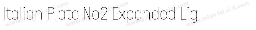 Italian Plate No2 Expanded Light字体转换